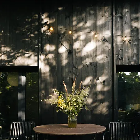 Lejlighed Gemuetliche Ostseebad Kühlungsborn