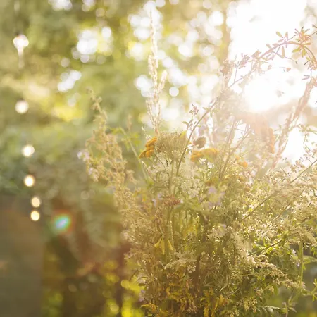 Gemuetliche * Ostseebad Kühlungsborn