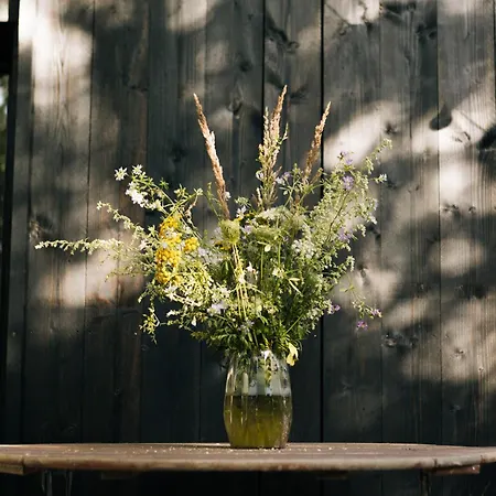 Gemuetliche Lejlighed Ostseebad Kühlungsborn