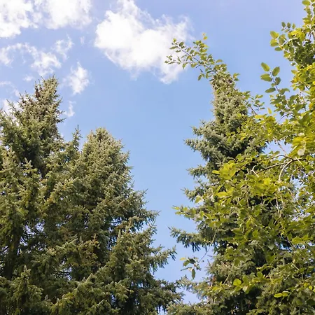 Gemuetliche Lejlighed