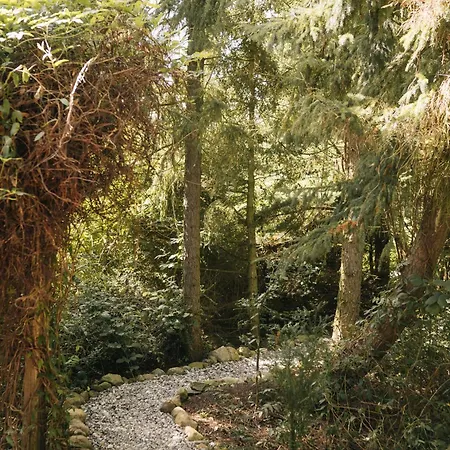 Gemuetliche Lejlighed Ostseebad Kühlungsborn