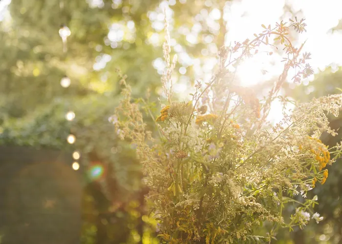 Gemuetliche * Ostseebad Kühlungsborn