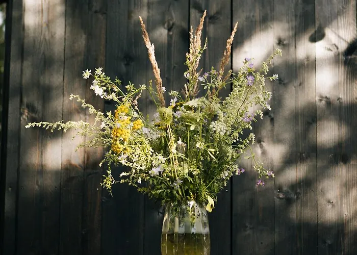 Gemuetliche Apartamento Ostseebad Kühlungsborn