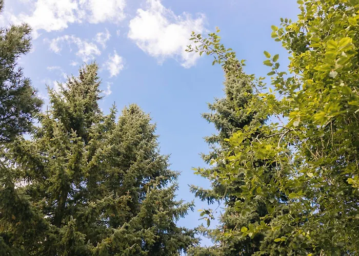 Gemuetliche Apartamento