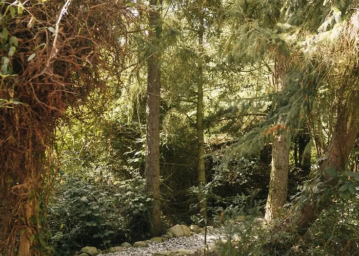 Gemuetliche Apartamento Ostseebad Kühlungsborn