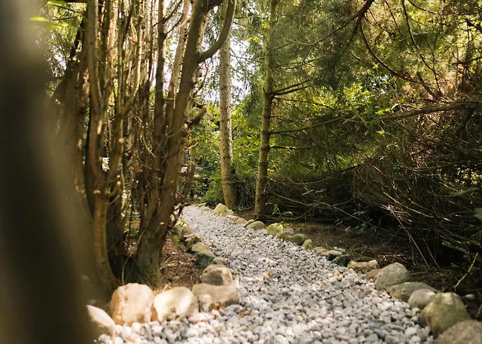 Gemuetliche Apartamento Ostseebad Kühlungsborn